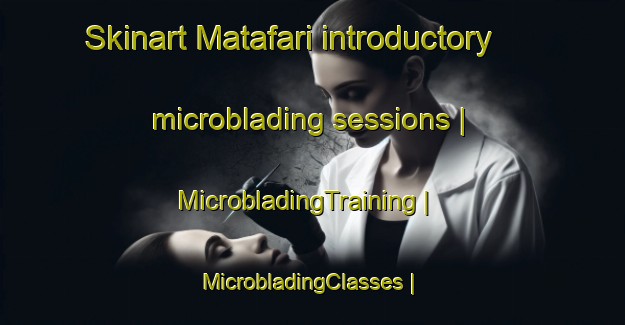 Skinart Matafari introductory microblading sessions | MicrobladingTraining | MicrobladingClasses | SkinartTraining-the Democratic Republic of the Congo